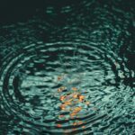 Meditation: What It Is, What It Isn’t, and Why It Matters